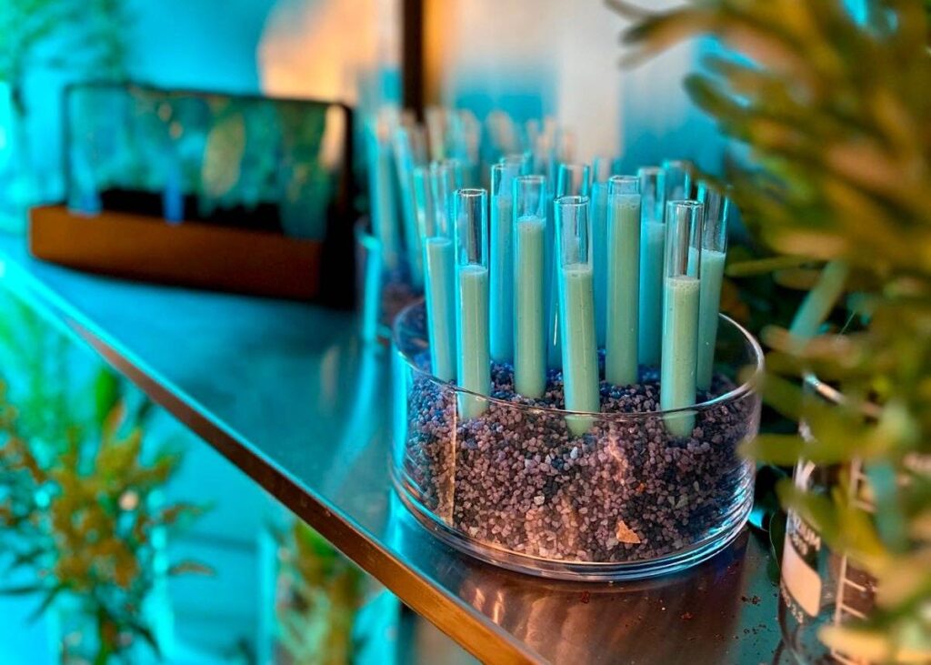 Neurogastronomía en eventos - ArtigotCatering